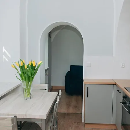 - Stara Szkola Apartment *