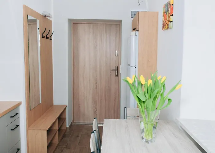 - Stara Szkola Apartment *